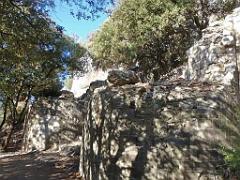 183 HYERES ET SES PALMIERS D03_000027
